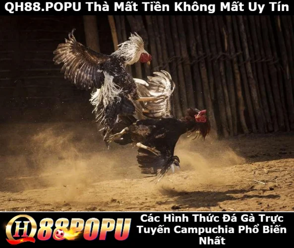 cac-hinh-thuc-da-ga-truc-tuyen-campuchia-pho-bien-nhat