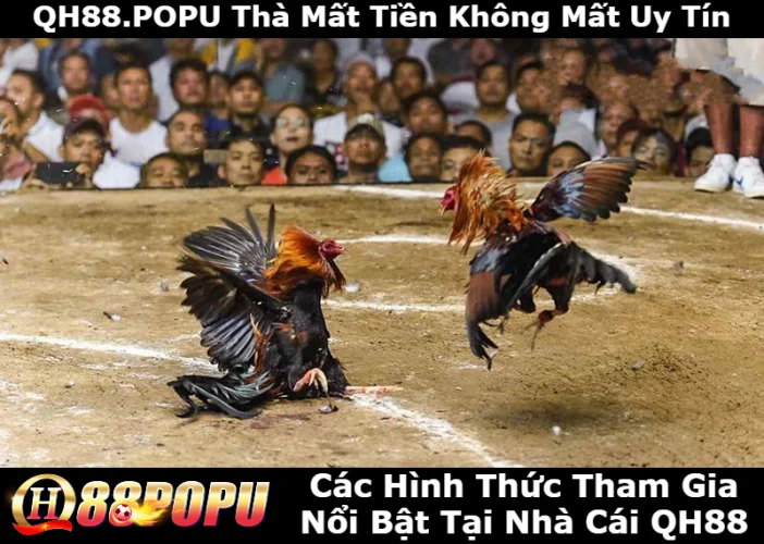 cac-hinh-thuc-tham-gia-noi-bat-tai-qh88