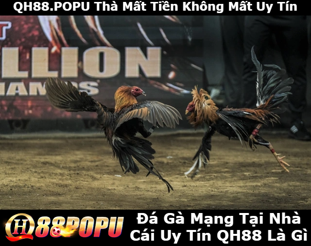 da-ga-mang-tai-nha-cai-uy-tin-qh88